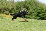 BEAUCERON 865